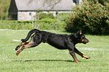 BEAUCERON 841